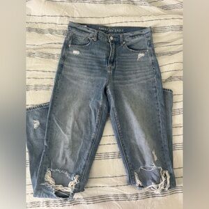 American Eagle Distressed Mom Jeans
